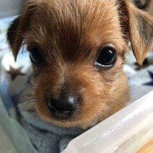 Meet your Posher, Jackie